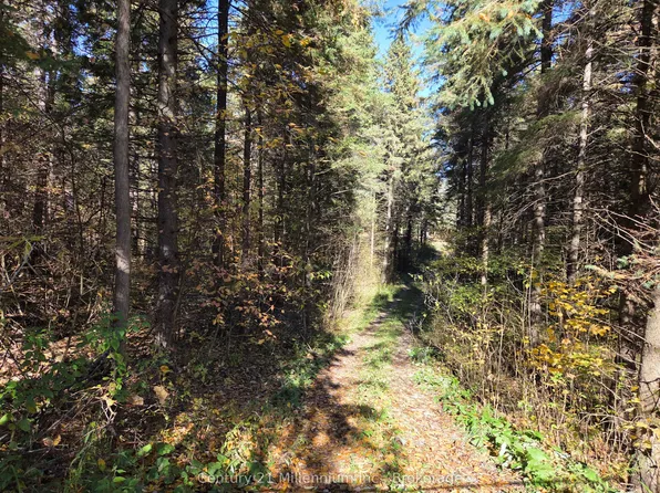 627383 Side Road 15, Mulmur, ON L9V 0T6