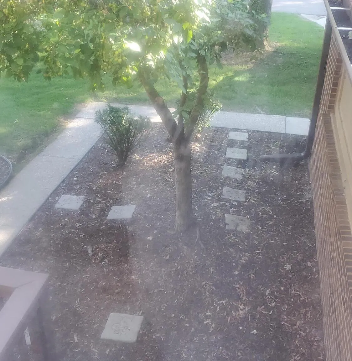 3 bed, 3.0 bath, 2227 sqft, $4,500 — Photo 4
