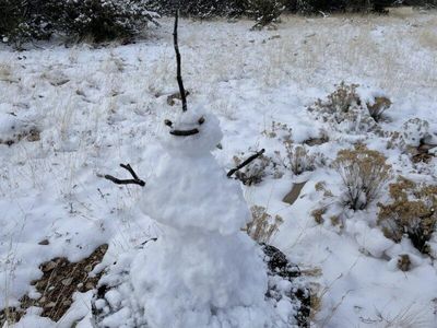 13537 Bly Station Rd, Williams, AZ, 86046