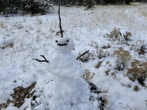 13537 Bly Station Rd, Williams, AZ 86046