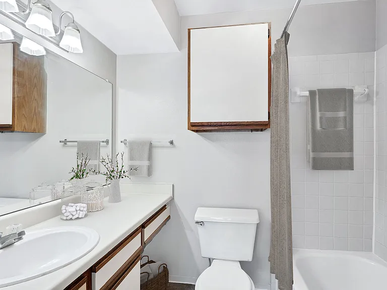 Full bathroom with plenty of storage