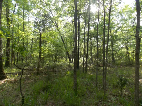 47 BAMBI TRAIL Trail, Lincolnton, GA 30817