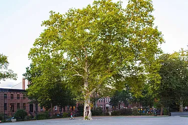 Sold by Halstead Real Estate