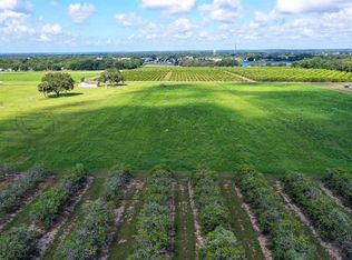 0 Charles Osborne Rd, Umatilla, FL 32784