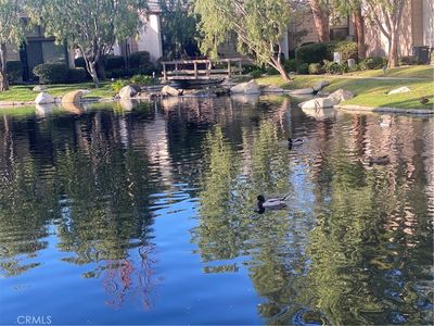 26701 Quail Crk APT 137, Laguna Hills, CA, 92656