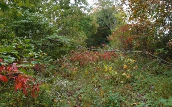 3rd image of 761 York Hwy