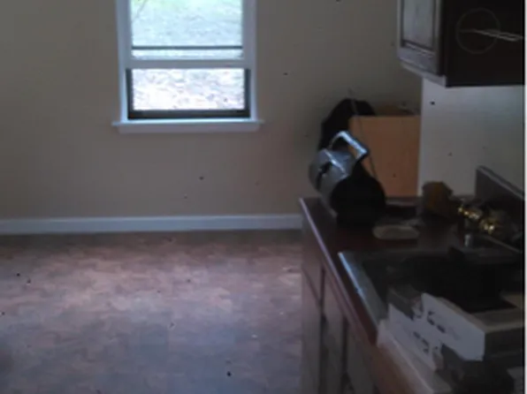 125 Koehler St, Mount Oliver, PA 15210