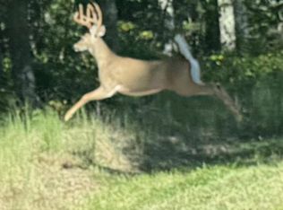 2570 Amos Ridge Rd, Frenchburg, KY 40322