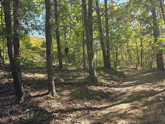 3rd image of 871 Keiser Rd Tract 1