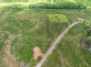 0 Young Rd LOT 4, Finger, TN 38334