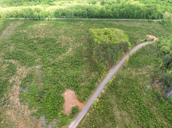 0 Young Rd Lot 4, Finger, TN 38334