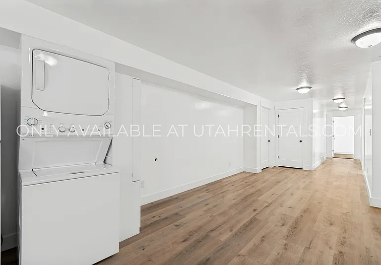 1076 Bear Hollow Ln #BASEMENT — Photo 6