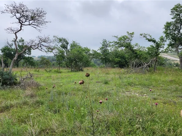 48 Ridgeline Rd, Fredericksburg, TX 78624