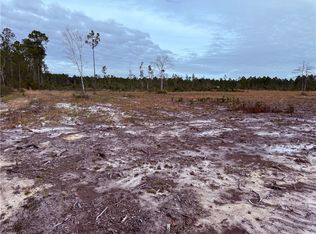 10 Wiregrass Ln, Waycross, GA 31501