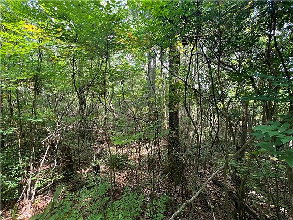 4th image of 3548 Schillinger Rd S