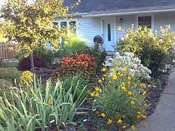 Front view of home