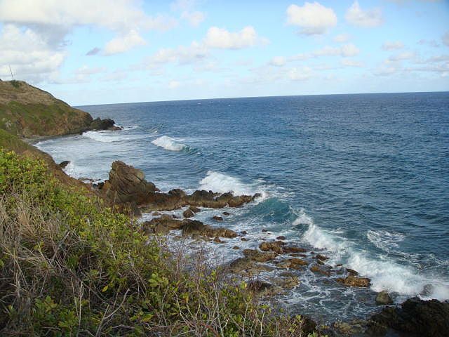 2nd image of 9A Concordia