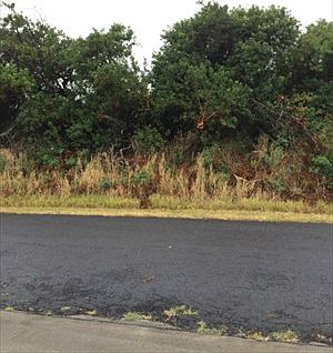 1st image of Kia Kahi St Lot 209