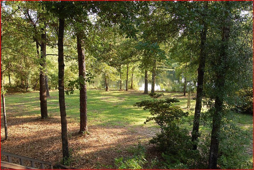 View from the backyard / pondside deck