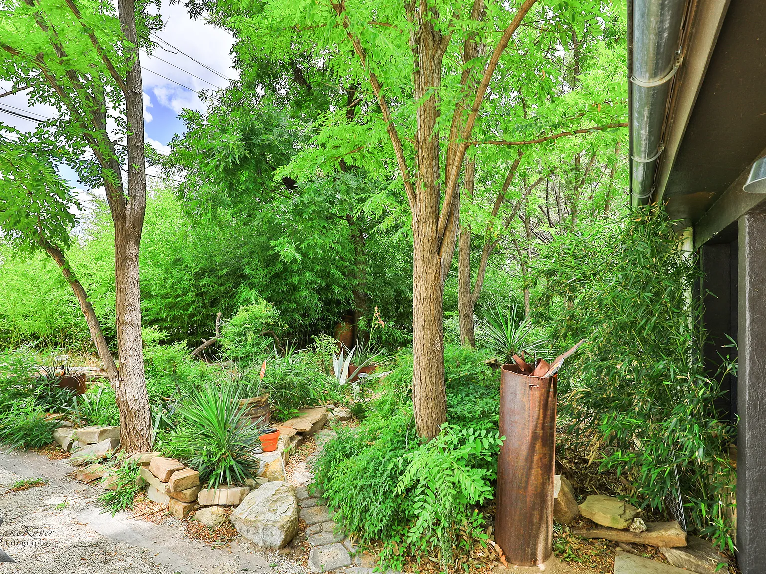 3 bed, 1444 sqft, $2,000 — Photo 3