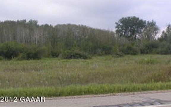 5th image of MN 55
