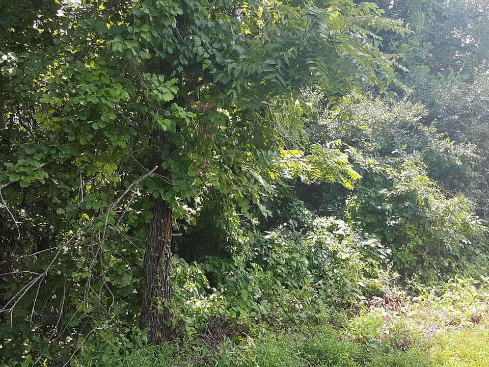 1st image of Buena Vista Ln