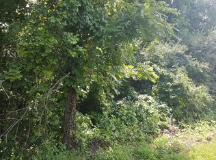 Buena Vista Ln, Lafollette, TN 37766