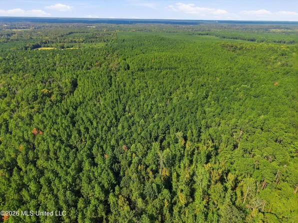 Levi Cooper Rd, Braxton, MS 39044