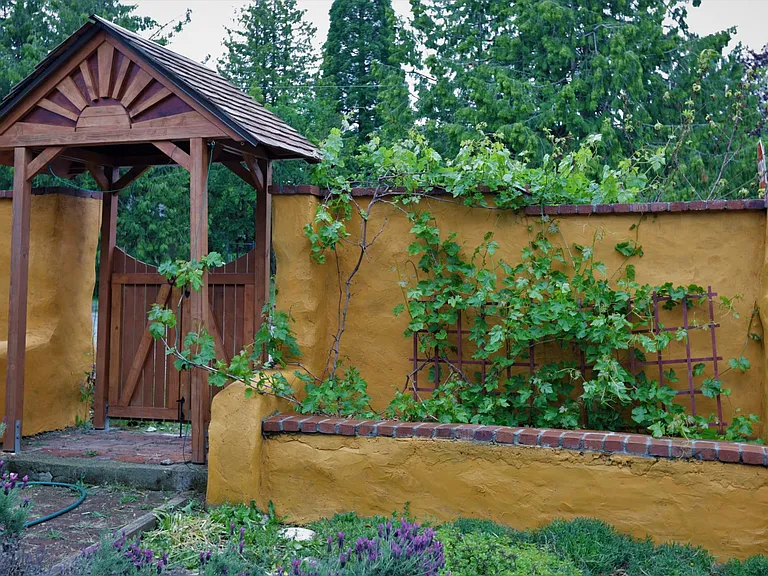Front gate to North of property. Grape vine shown, additionally cherry tree and peach trees along with many ornamentals.