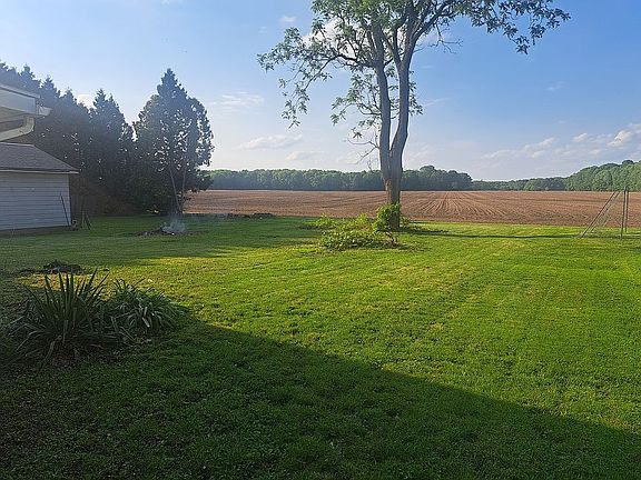 Backyard -1