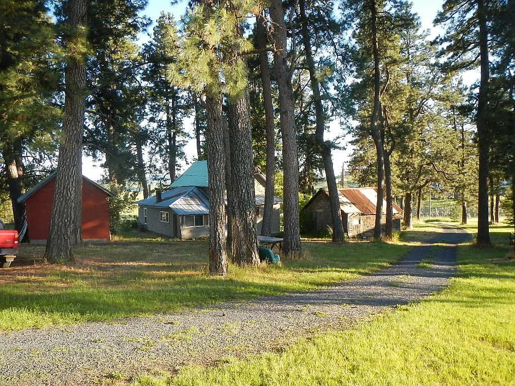 Country Farm House, Wood Cookstove, Gardening, 4 miles from town, Parks nearby within 4 miles — Photo 2