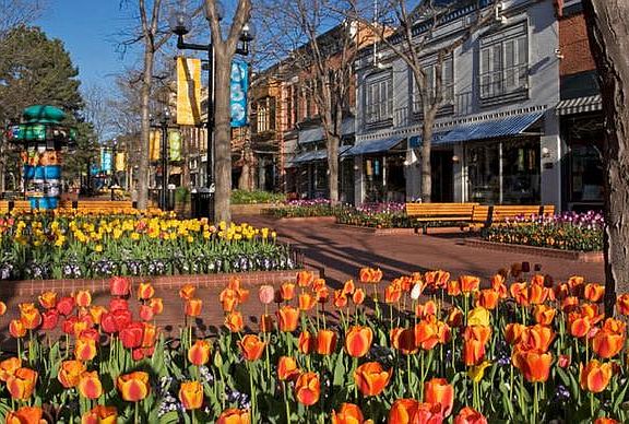 Nearby Beautiful Pearl St. Mall