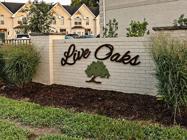 Live Oaks - Old Virginia Beach — Photo 3