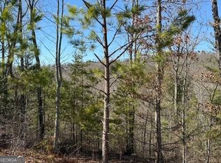 11 Long View Ln, Blue Ridge, GA 30513