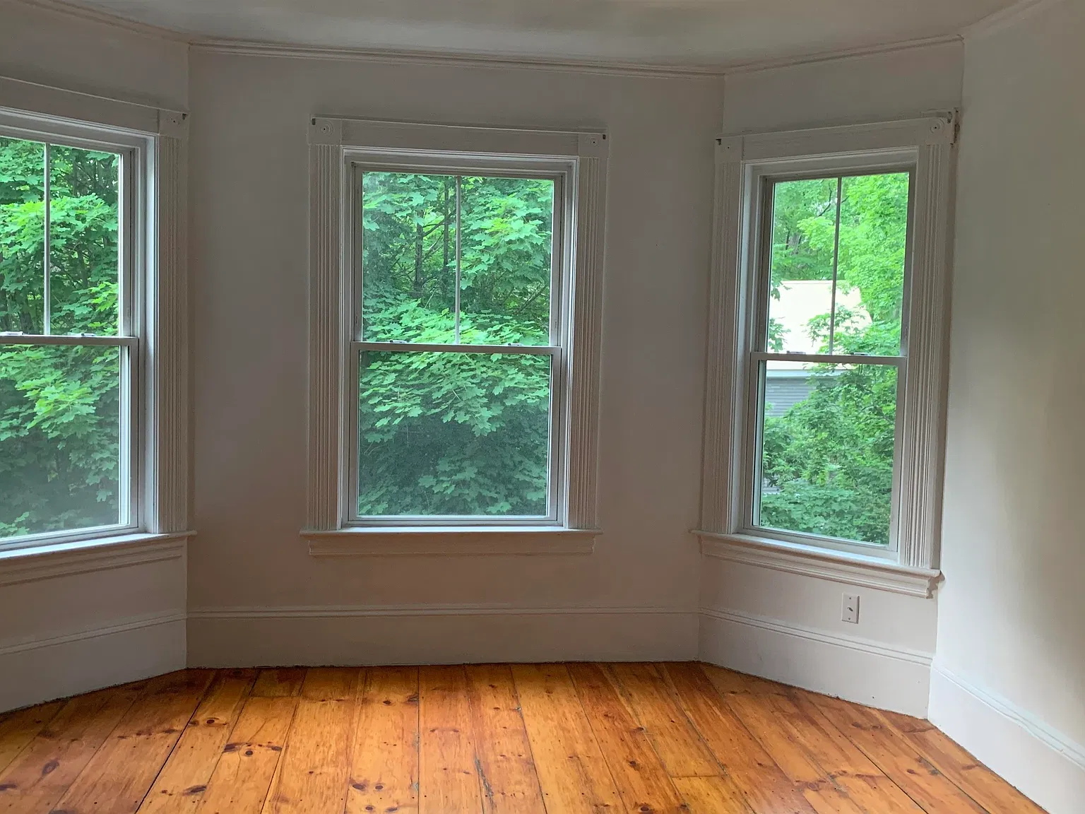 4 bed, 2.0 bath, 1500 sqft, $3,400 — Photo 2