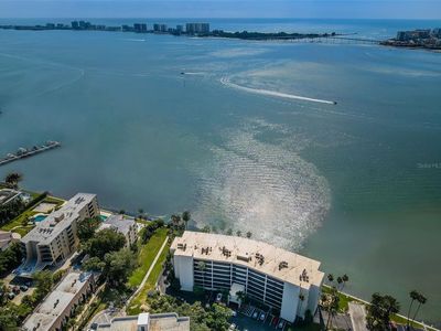 55 Rogers St APT 402, Clearwater, FL, 33756