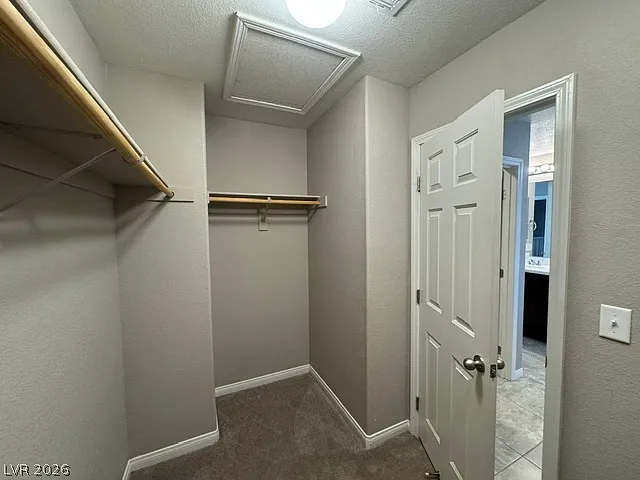 10558 Siesta Key St — Photo 18