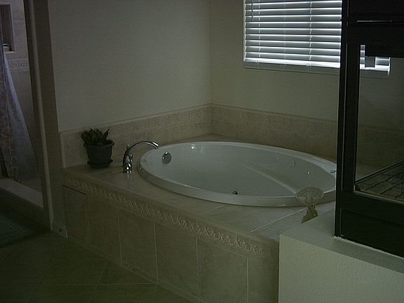 Master Bath Spa Tub and Fireplace
