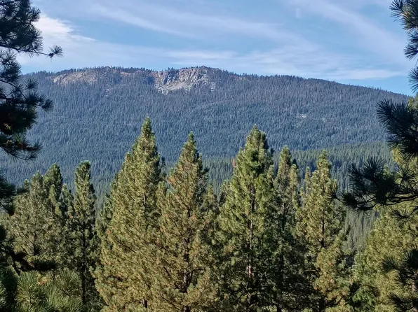 1800 Grey Squirrel Rd, Clio, CA 96106