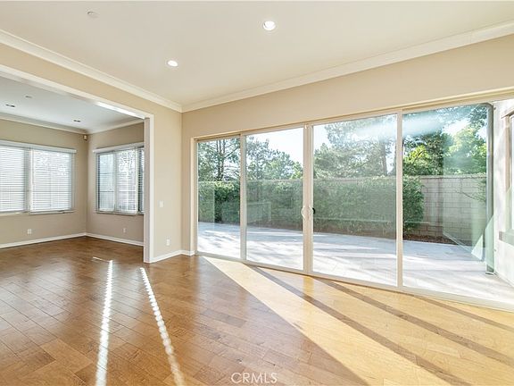 3rd image of 79 Field Poppy