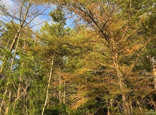 0 Nys Rte LOT 15, Forestport, NY 13338