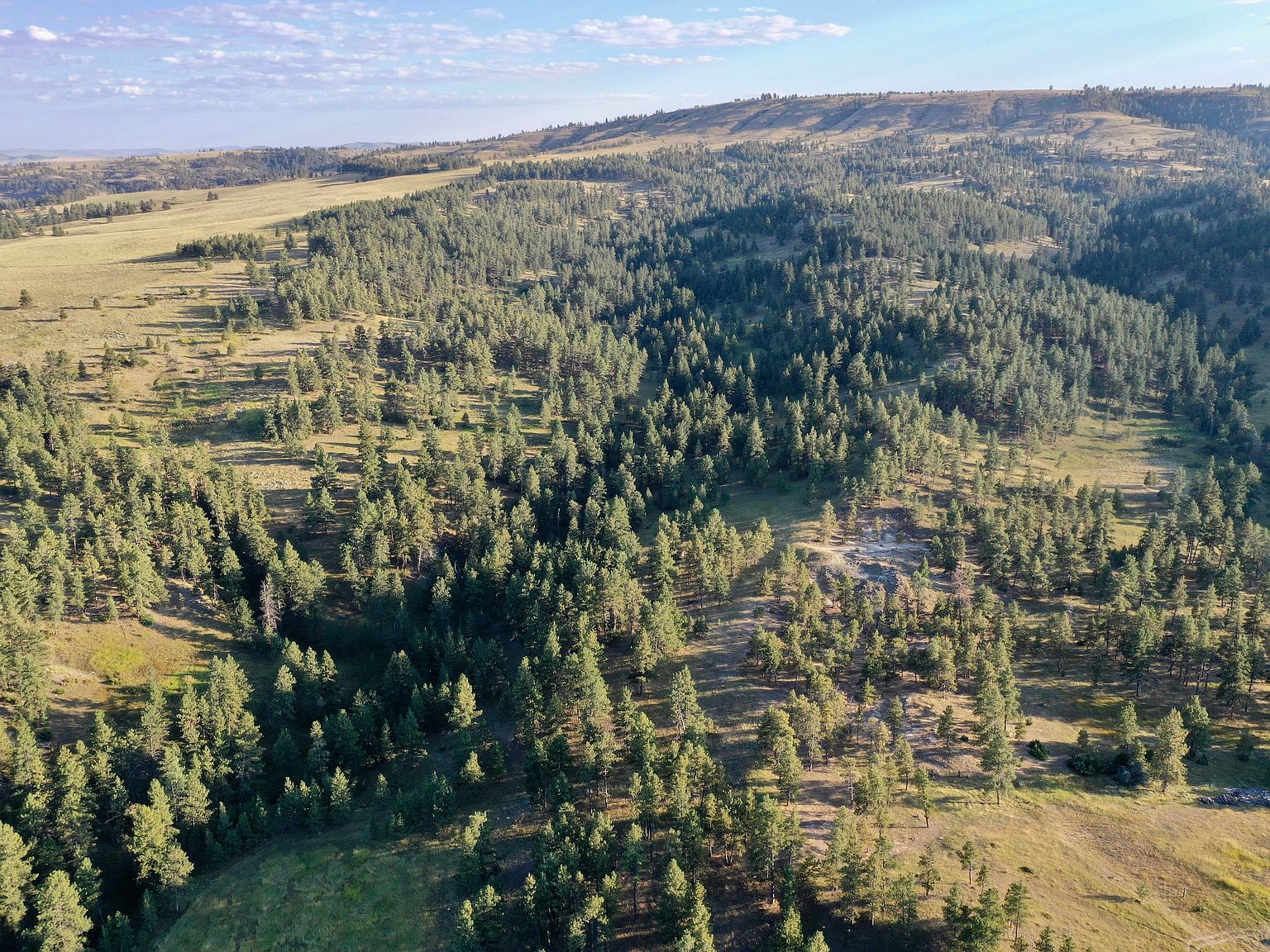 109 Ortiz Ln LOT WP001, Joliet, MT 59041 MLS 80843 Zillow