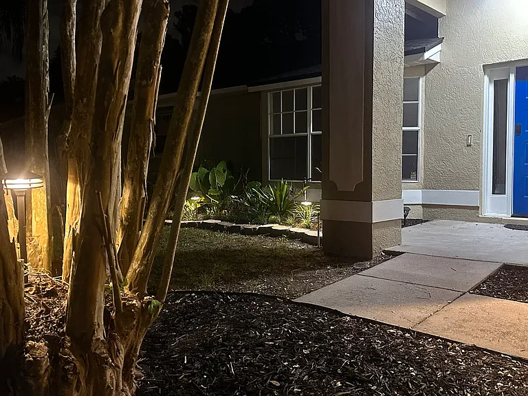 Landscape lighting.