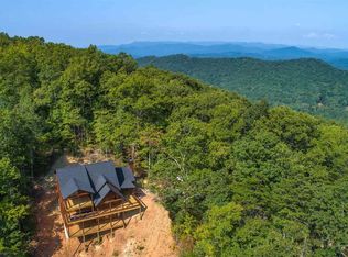 310 Spirit Mountain Rd #5, Blue Ridge, GA 30513
