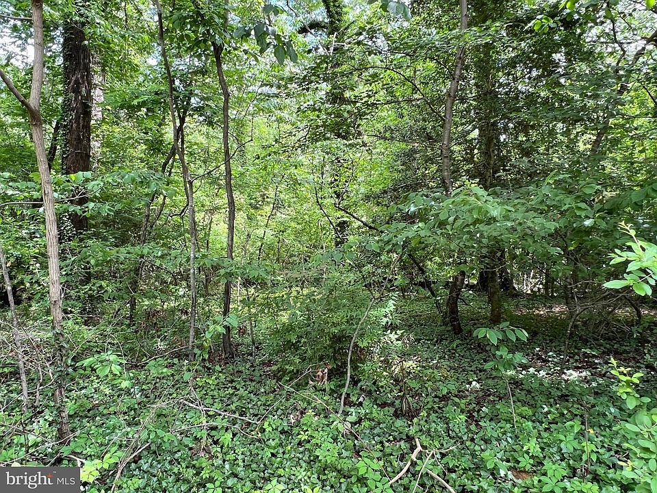 2nd image of 384 Deer Dr