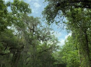 County Road 707, Webster, FL 33597