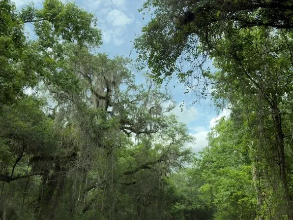 County Road 707, Webster, FL 33597