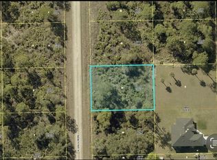 238 Nancy Ave S, Lehigh Acres, FL 33974