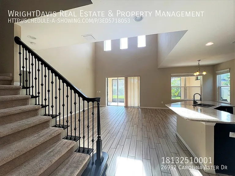 26992 Carolina Aster Dr — Photo 7
