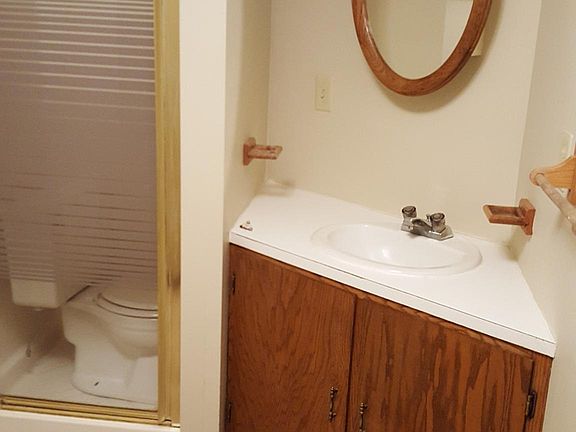 Lower level bathroom